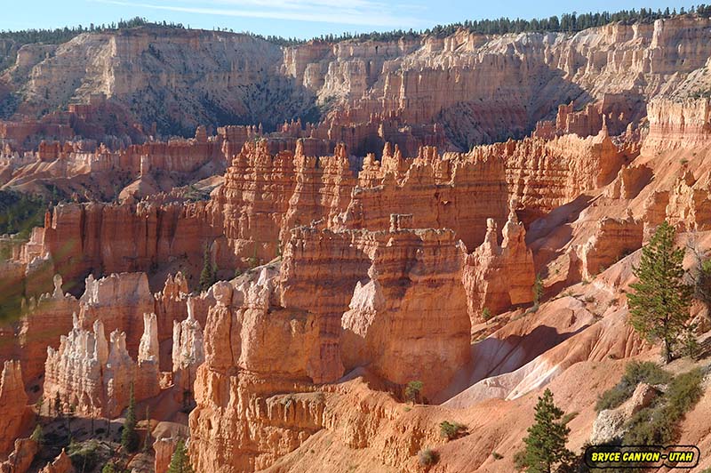 bryce